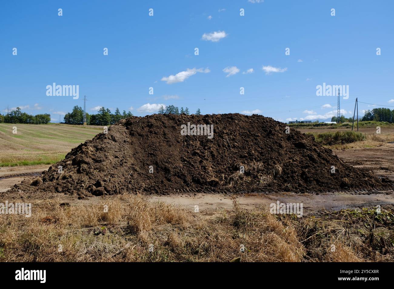 Kulturelle künstlerische Reise in Japan Blumenblüte in Hokkaido Japan im September Stockfoto