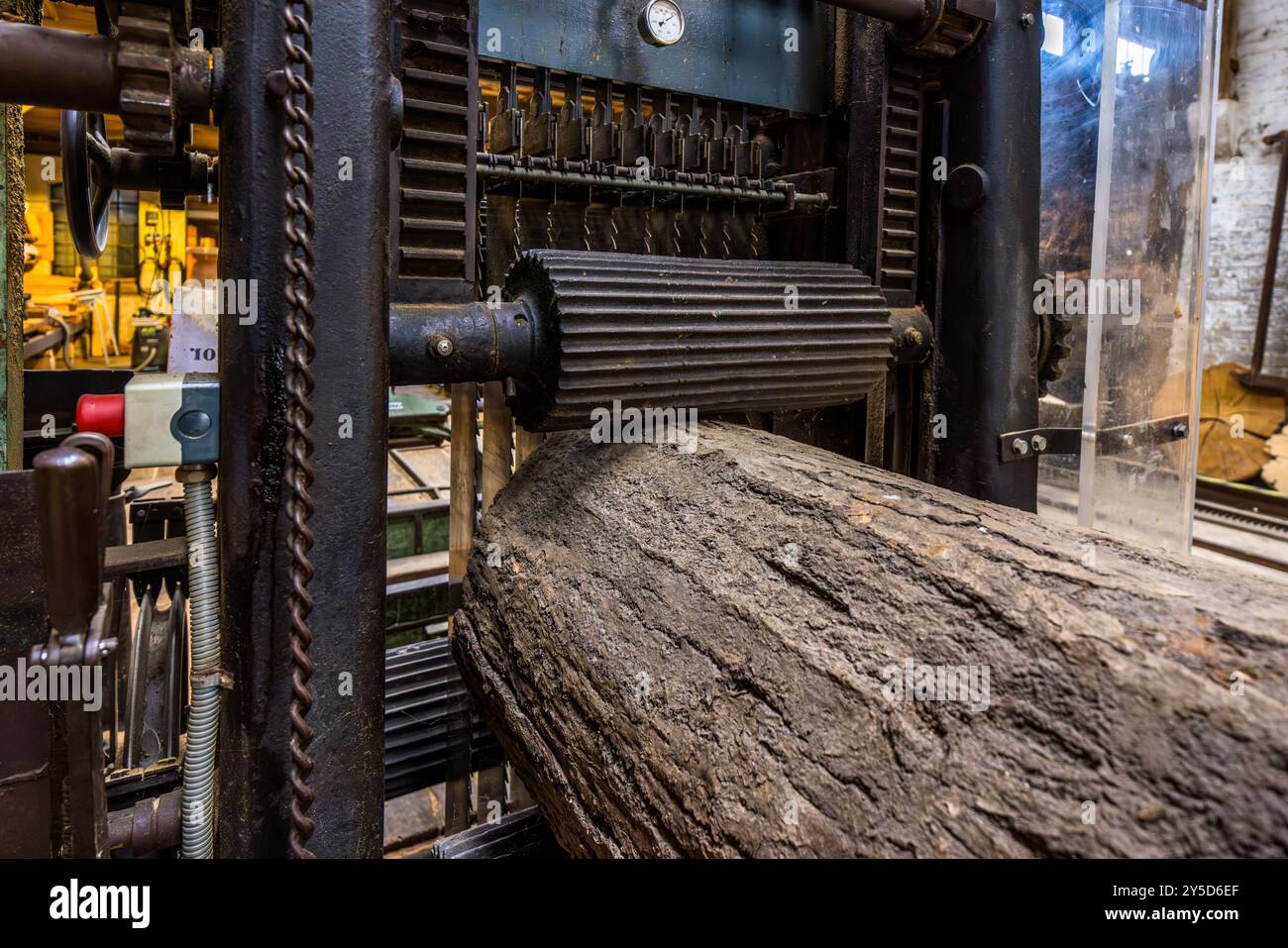 Eine Bande sägte in der Amanda-Mühle in Kappeln ein Holzstück. Die 1888 nach niederländischem Entwurf erbaute Mühle ist die einzige kombinierte Schleif- und Sägemühle in der Region. Bis 1964 als Getreidemühle betrieben, arbeitet sie heute als Sägemühle mit einer Schauwerkstatt, Schleswiger Straße, Schleswig-Holstein, Deutschland. Stockfoto