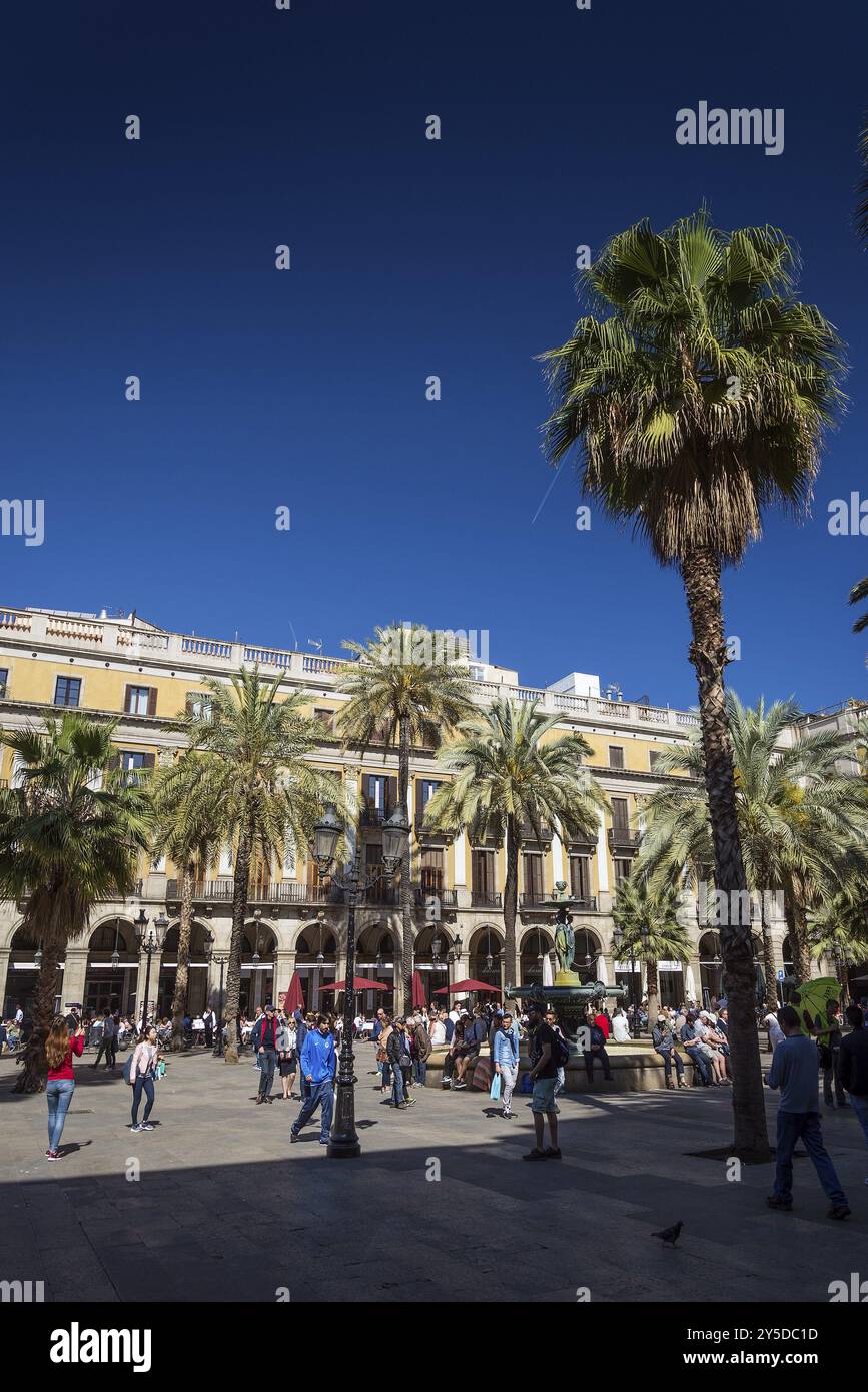 Plaza Real Square berühmtes Wahrzeichen im Zentrum von barcelona Las ramblas Altstadt spanien Stockfoto