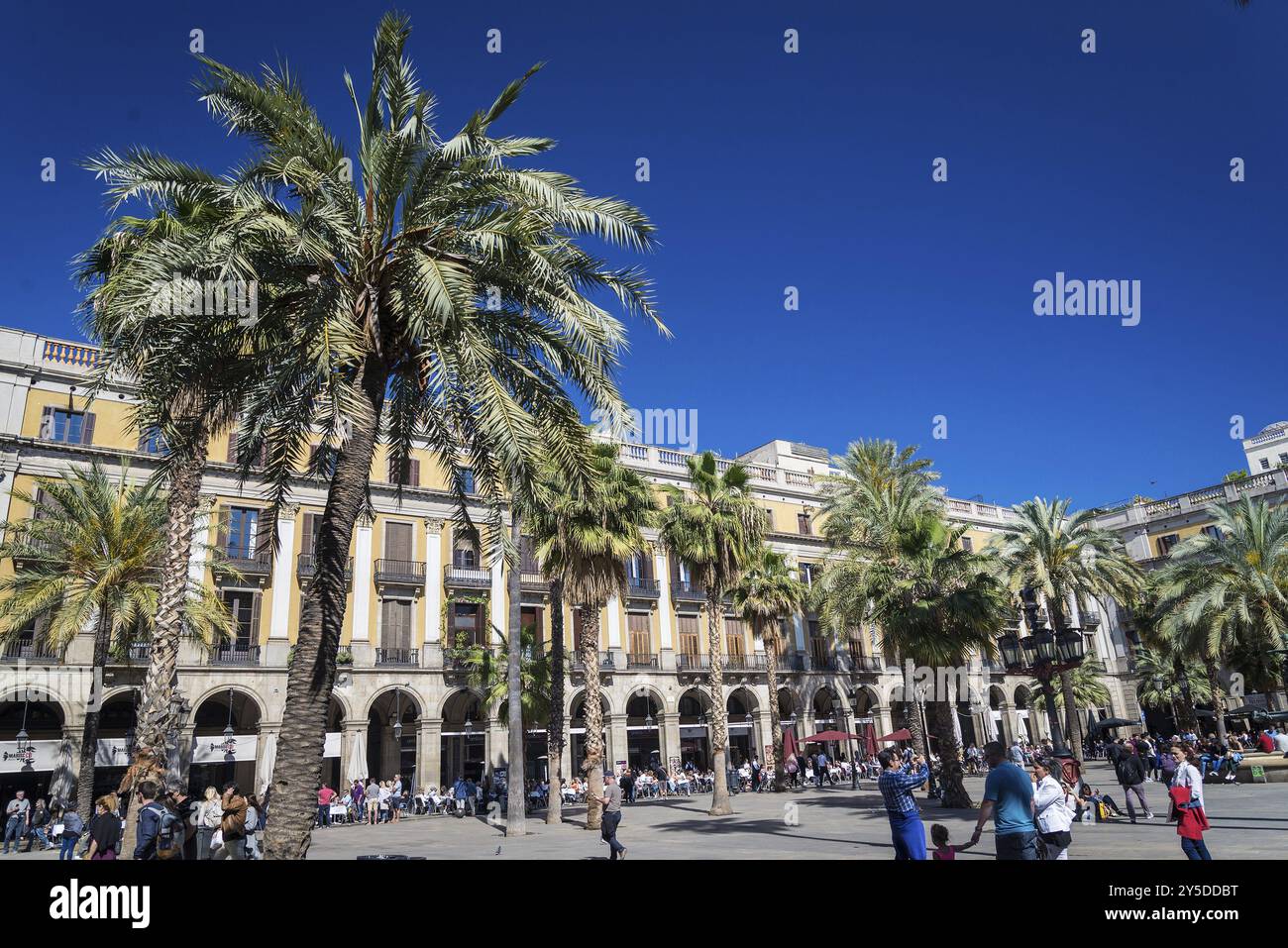 Plaza Real Square berühmtes Wahrzeichen im Zentrum von barcelona Las ramblas Altstadt spanien Stockfoto