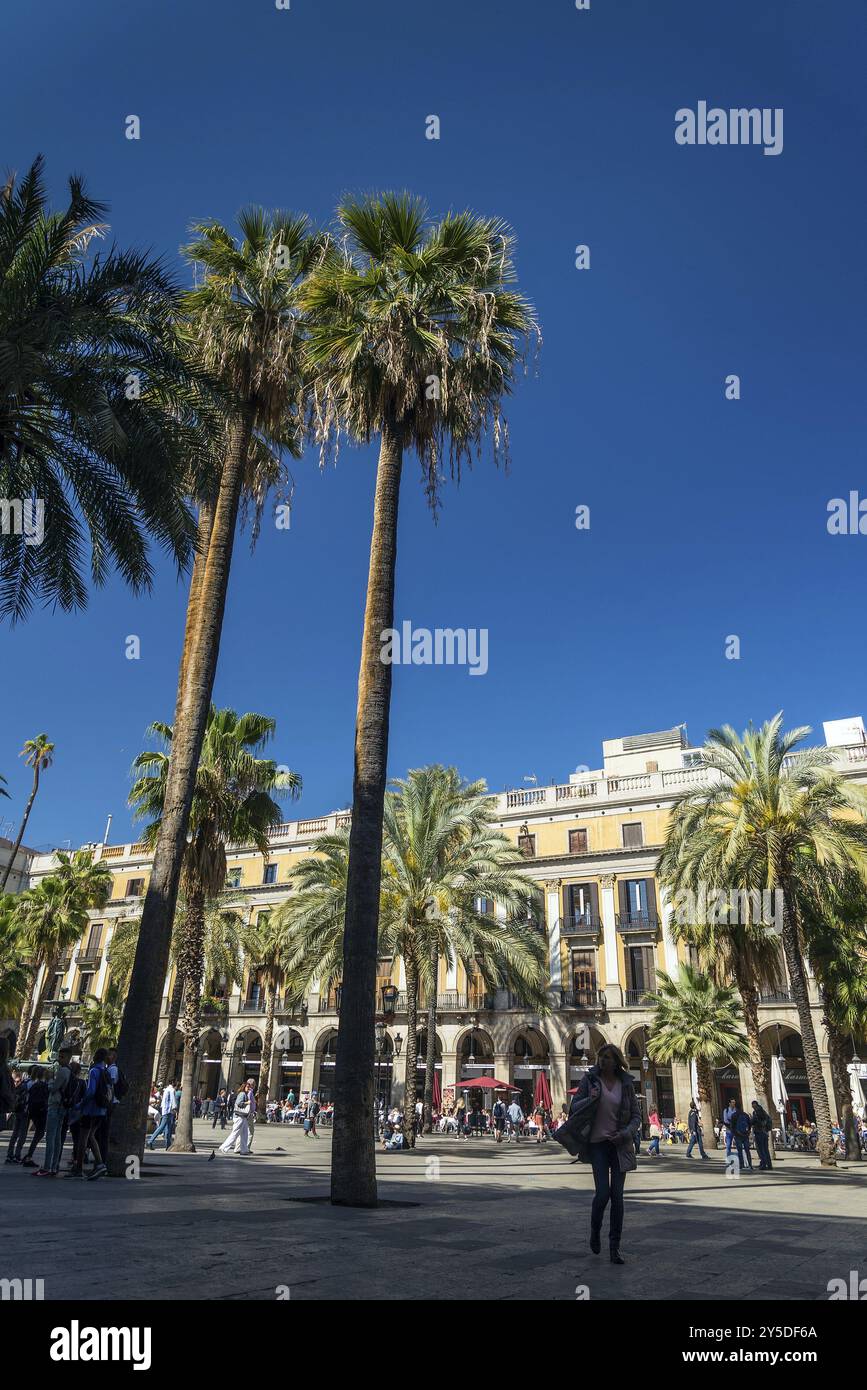 Plaza Real Square berühmtes Wahrzeichen im Zentrum von barcelona Las ramblas Altstadt spanien Stockfoto