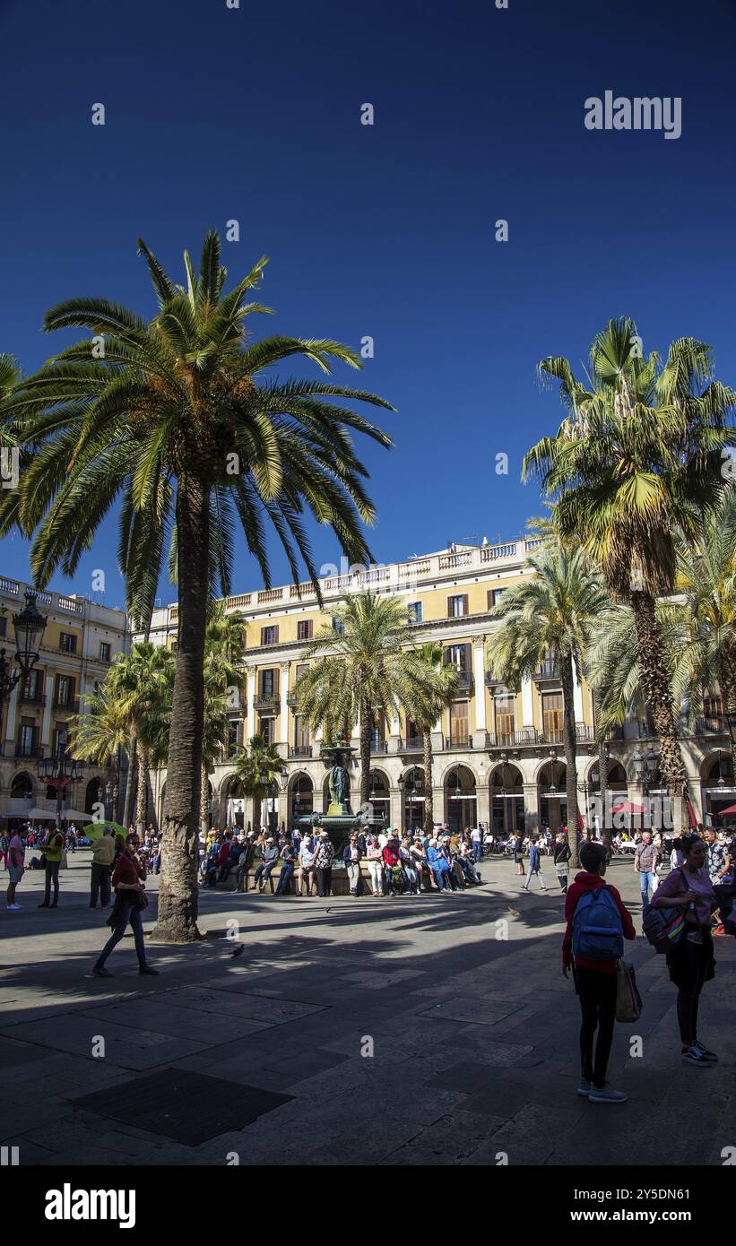 Plaza Real Square berühmtes Wahrzeichen im Zentrum von barcelona Las ramblas Altstadt spanien Stockfoto