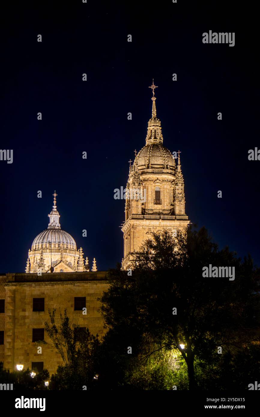 Catedral de Salamanca de noche. La imagen resalta la majestuosidad de la arquitectura Gótica y plateresca en contraste con el entorno oscuro. España Stockfoto