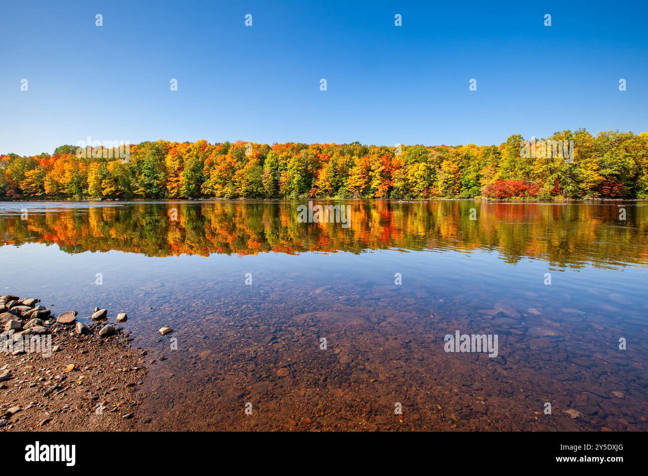 Reflexion eines bunten Waldes im Wisconsin River, horizontal Stockfoto