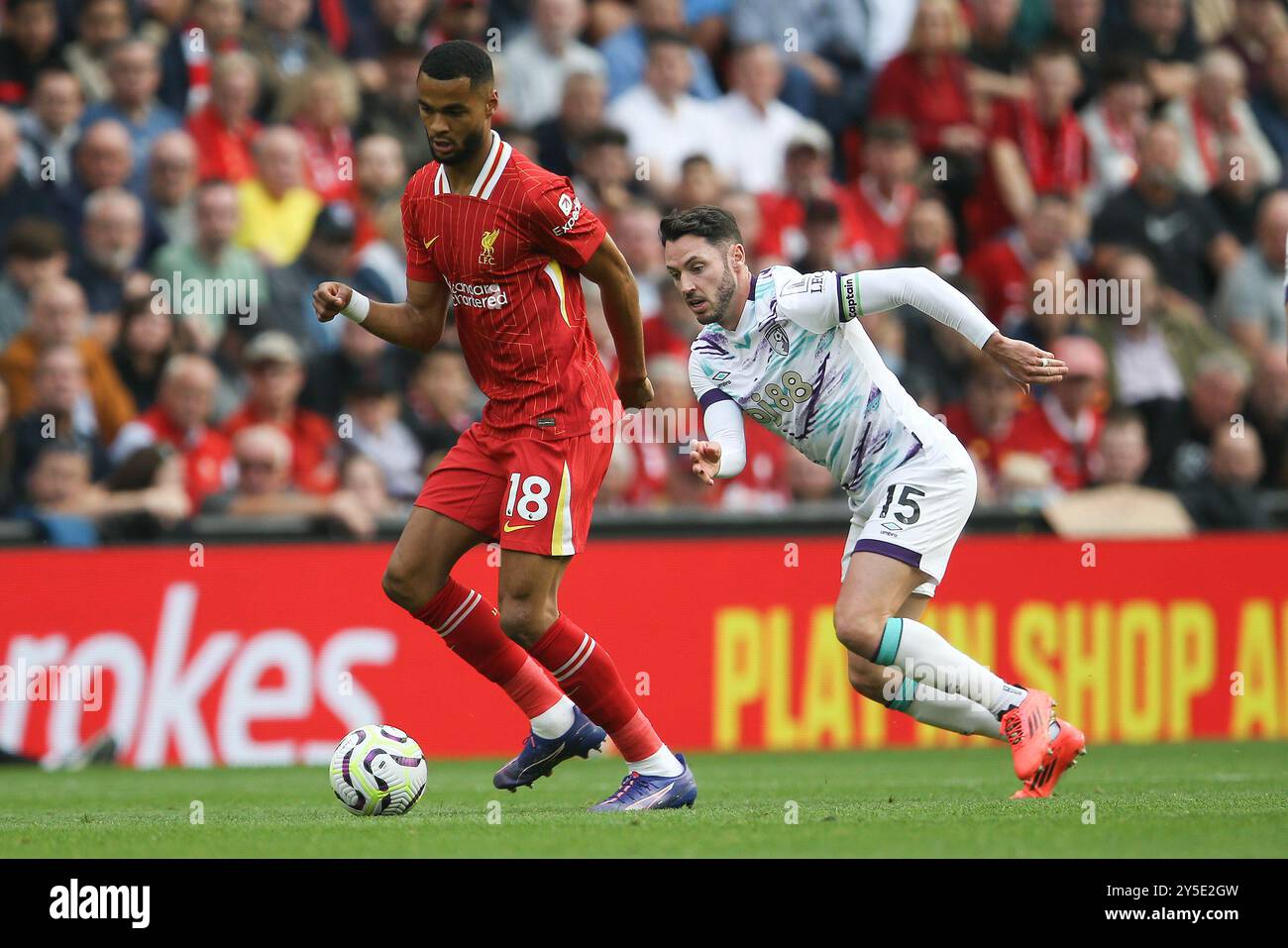 Liverpool, Großbritannien. September 2024. Cody Gakpo aus Liverpool entkommt Adam Smith aus Bournemouth. Premier League Spiel Liverpool gegen Bournemouth in Anfield in Liverpool am Samstag, den 21. September 2024. Dieses Bild darf nur für redaktionelle Zwecke verwendet werden. Nur redaktionelle Verwendung. bild von Chris Stading/Andrew Orchard Sportfotografie/Alamy Live News Credit: Andrew Orchard Sportfotografie/Alamy Live News Stockfoto