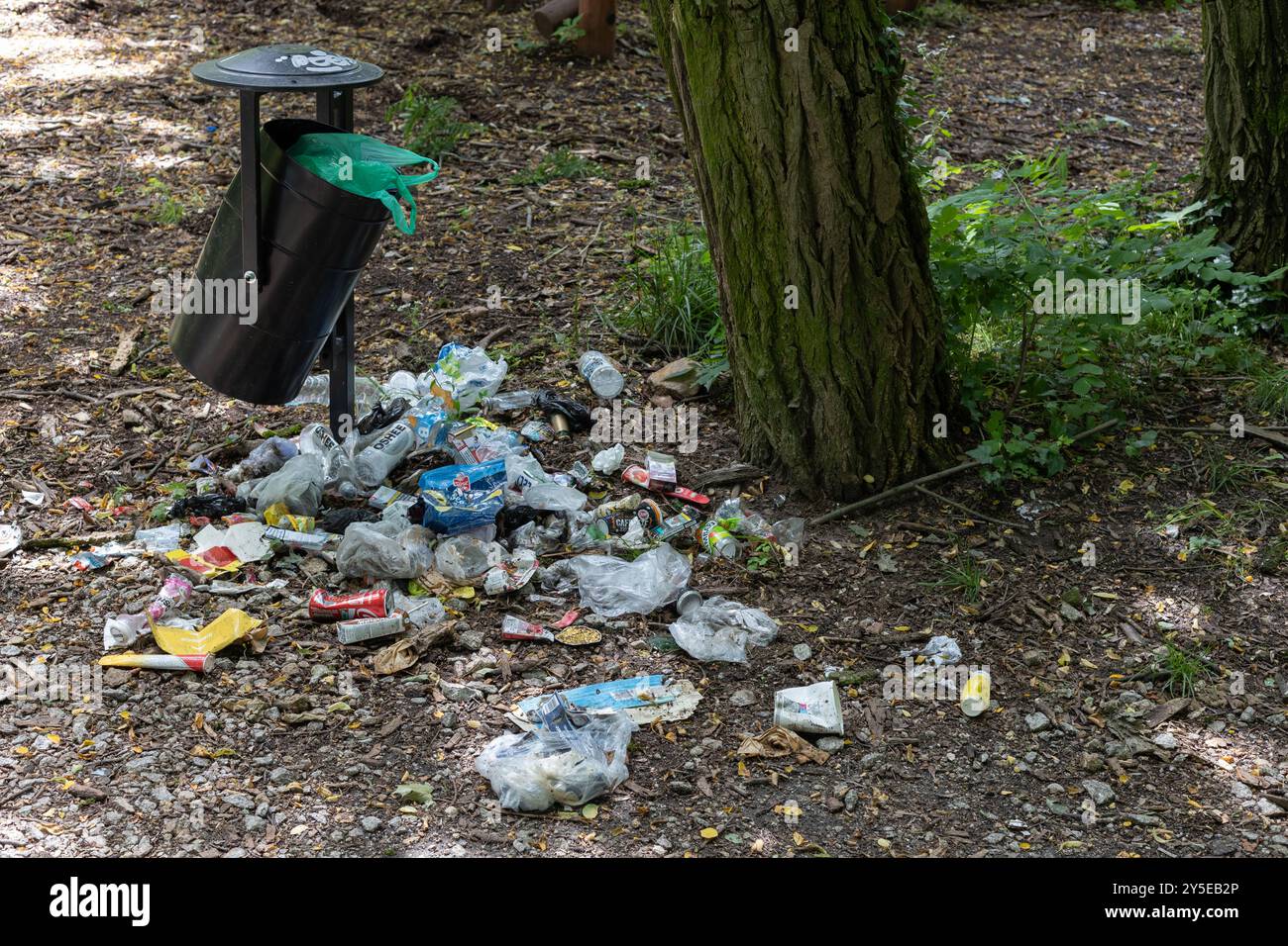 Posen, Polen. 20. Juni 2024. Überlaufender Abfalleimer in einem Waldgebiet Stockfoto Posen, Polen. 20. Juni 2024. Überlaufender Abfalleimer in einem Waldgebiet Stockfoto
