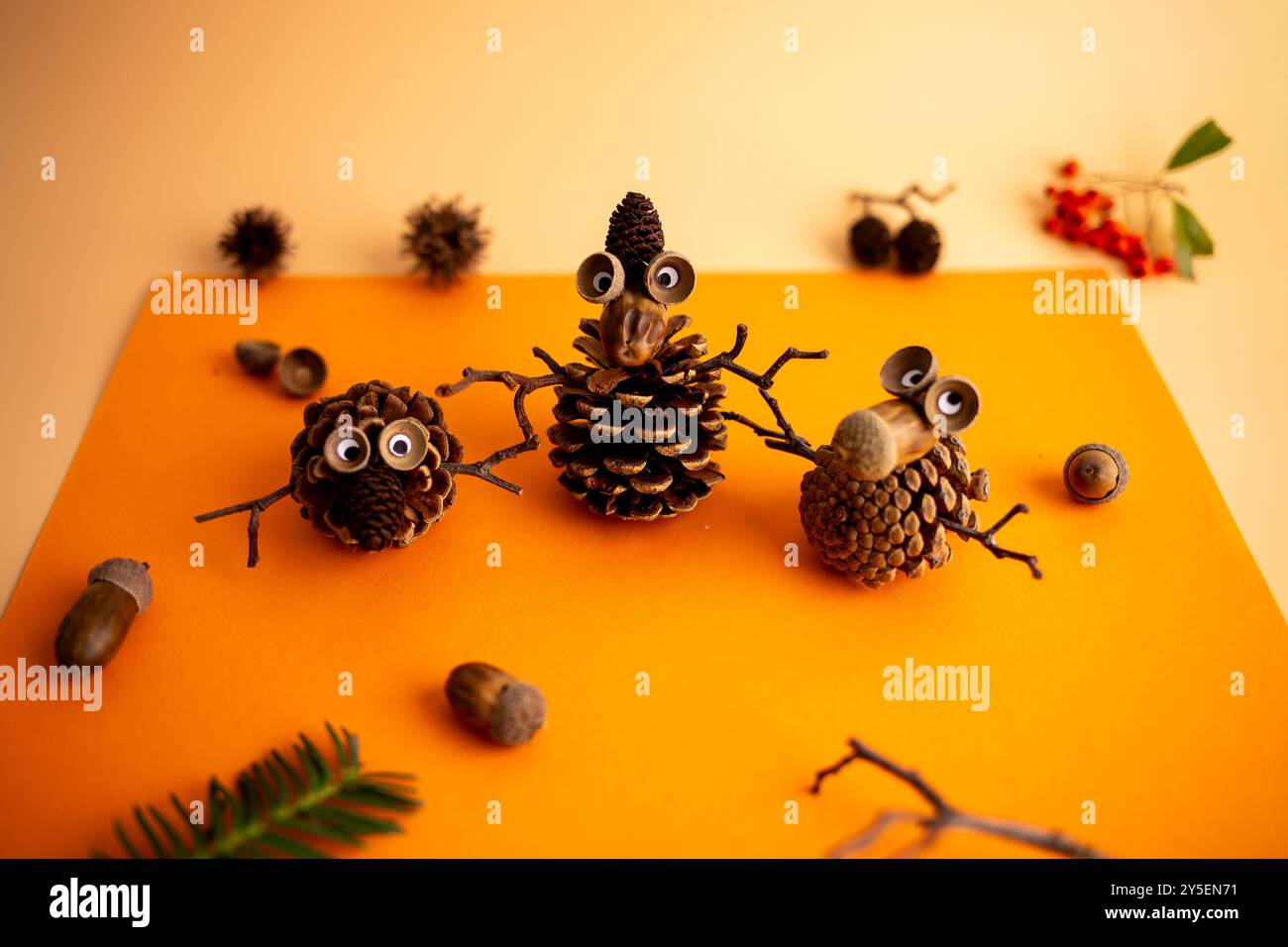 Kreative Anordnung von Tannenzapfen mit guten Augen, Zweigen und Eicheln auf orangem Hintergrund, die verspielten Kreaturen in einer skurrilen Natur ähneln Stockfoto