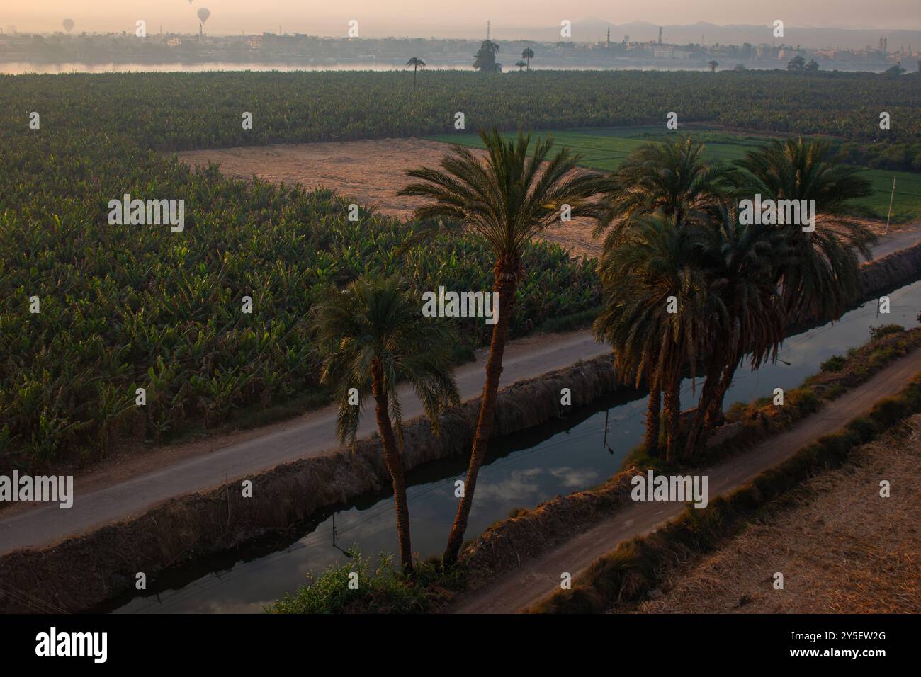 Bewässerungskanäle entlang des Nils in der Nähe von Luxor, ein Blick aus einem Heißluftballon bei Sonnenaufgang, Ägypten Stockfoto