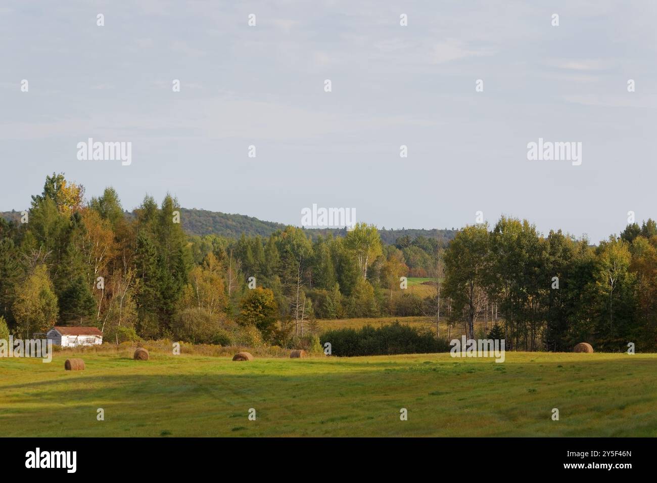Erster Herbsttag auf der Farm. Quebec, Kanada Stockfoto