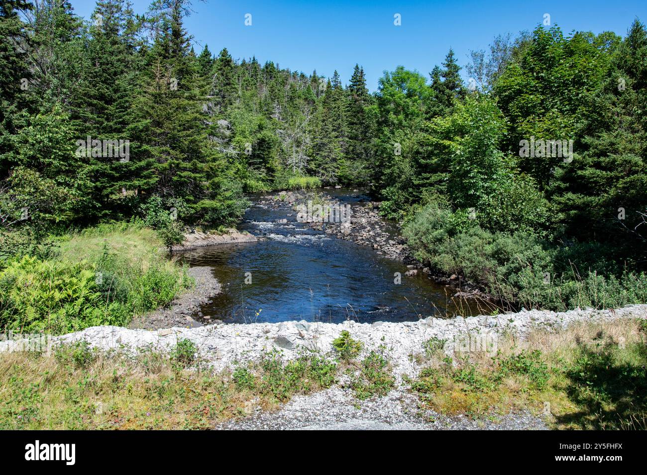 Back River bei Connie's Corner an der NL 90 in Mount Carmel-Mitchell's Brook-St. Catherine's, Neufundland & Labrador, Kanada Stockfoto