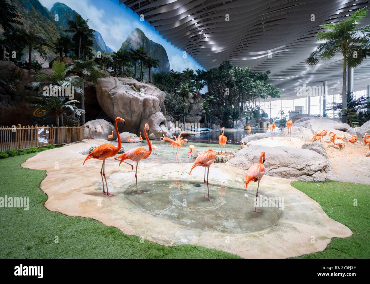 Flamingos auf SeaWorld Yas Island Abu Dhabi Stockfoto