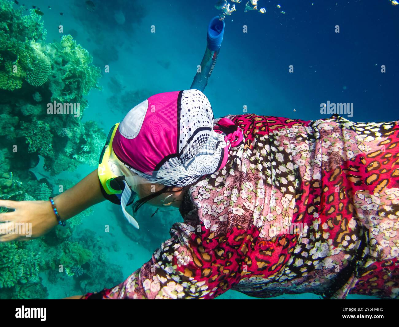 Eine Schnorchelfrau schwimmt neben einem Korallenriff. Schnorcheln in Thailand. Frau genießt Schnorcheln mit Maske, Schnorchel und Flosse. Spaß beim Schnorcheln Stockfoto