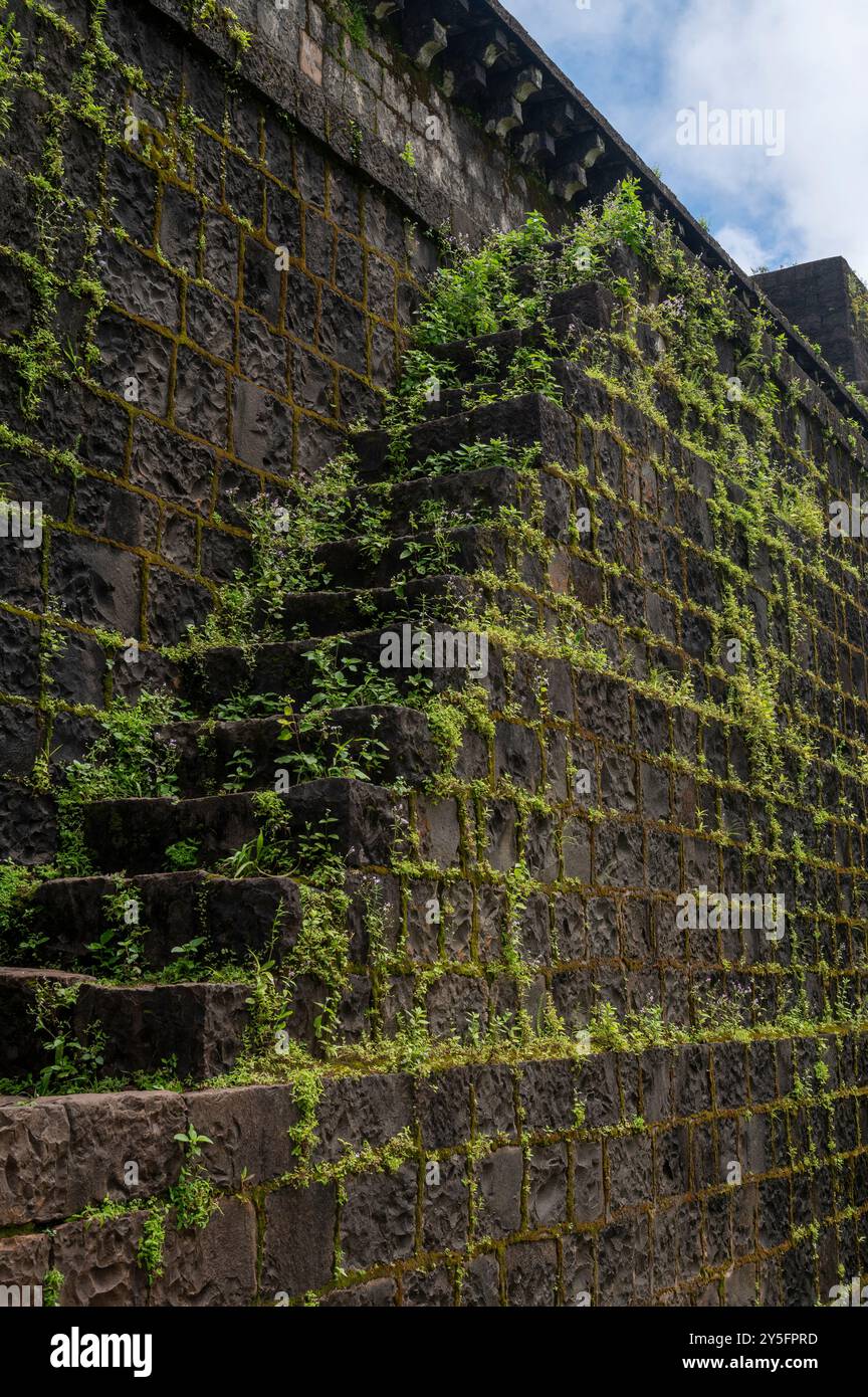 Kolhapur, Indien - 8. September 2024 Überreste einer alten Steintreppe am Panhala Fort, die in Kolhapur Maharashtra Indien mit Gras überwachsen ist Stockfoto