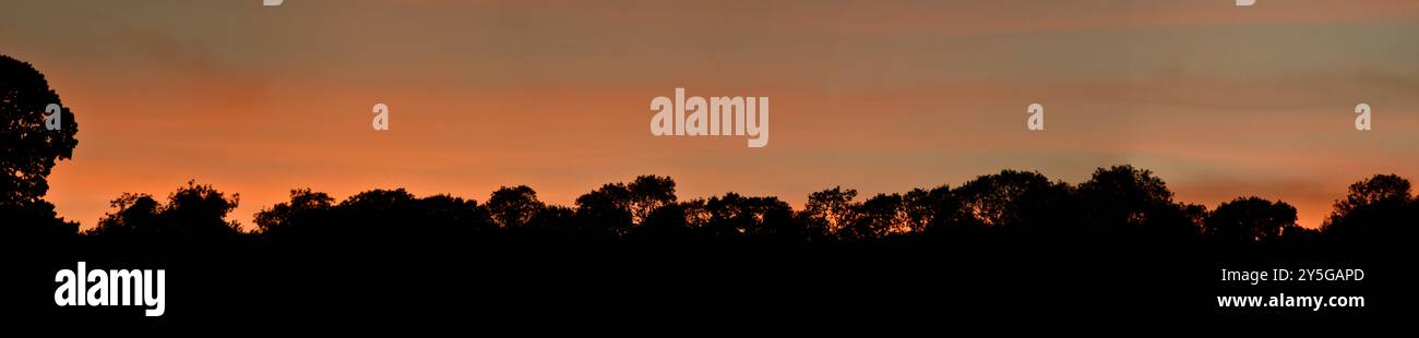 Sonnenuntergang über Chard Somerset England großbritannien Stockfoto