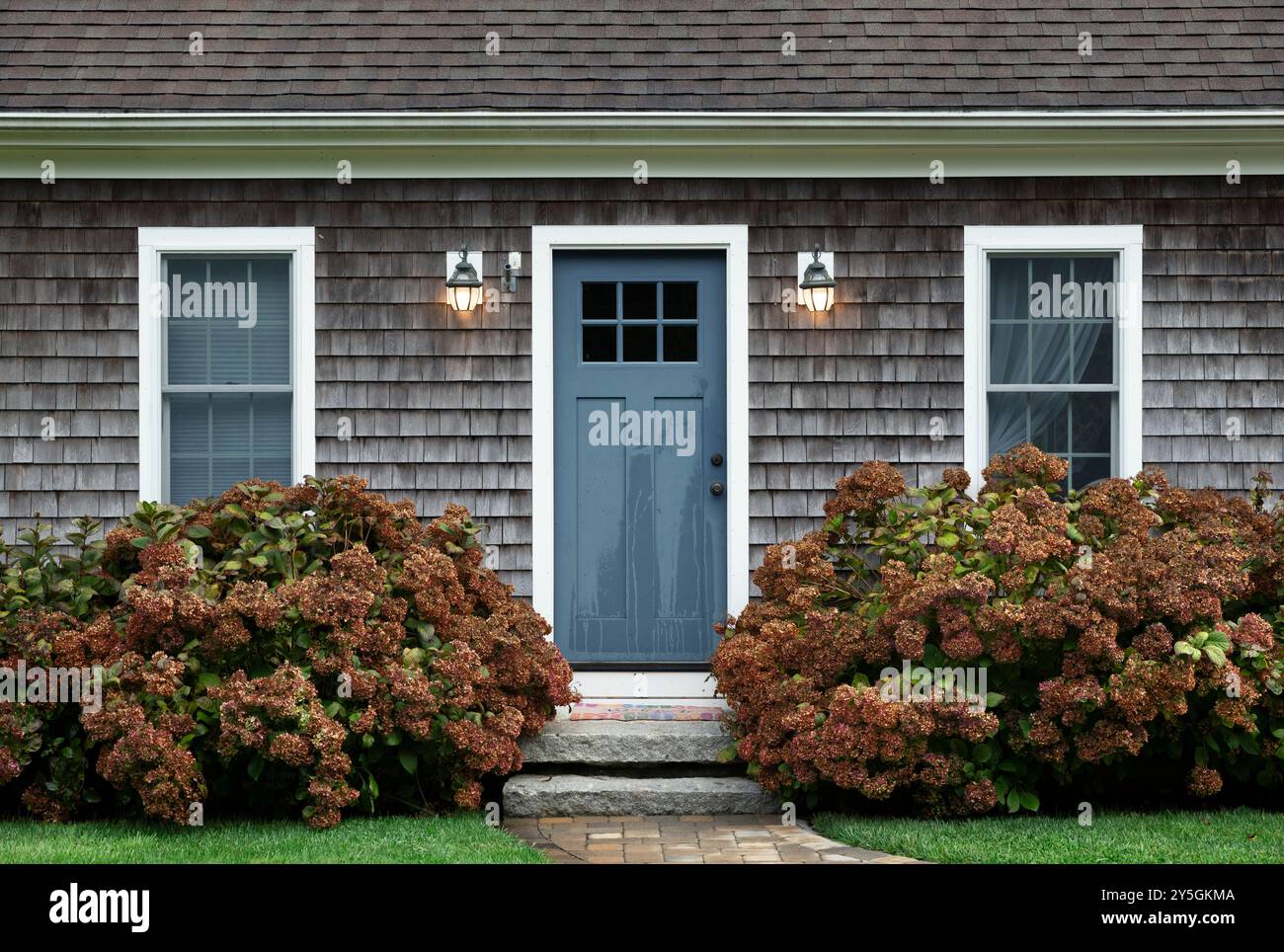 Traditionelles Haus im Cape Cod-Stil mit Hydranga. Stockfoto