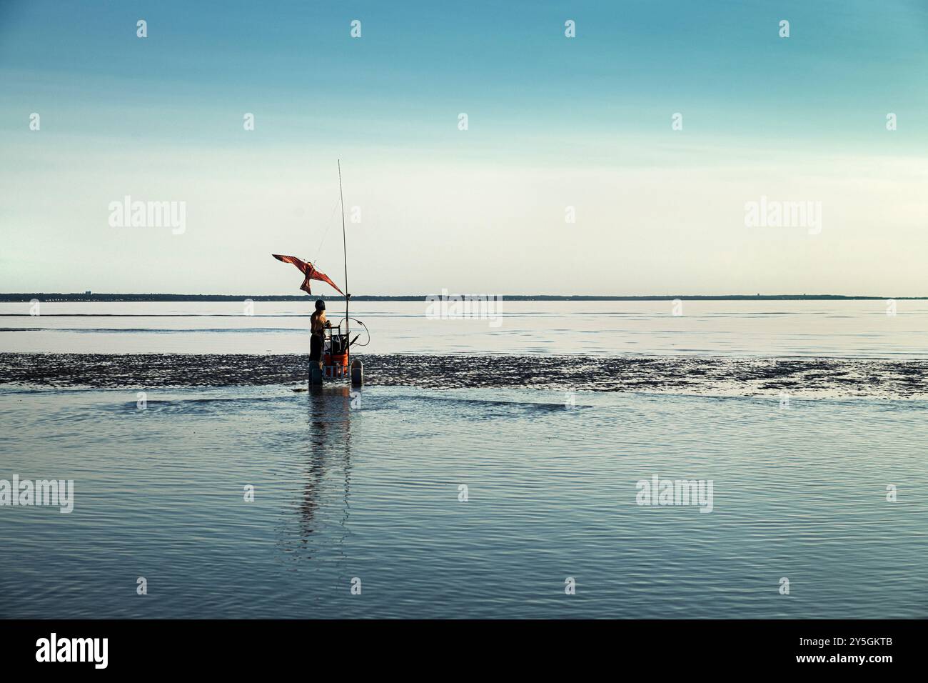 Rasiermuschelfischer, der bei Eastham Tidal Flat, Cape Cod, Massachusetts, USA arbeitet. Stockfoto