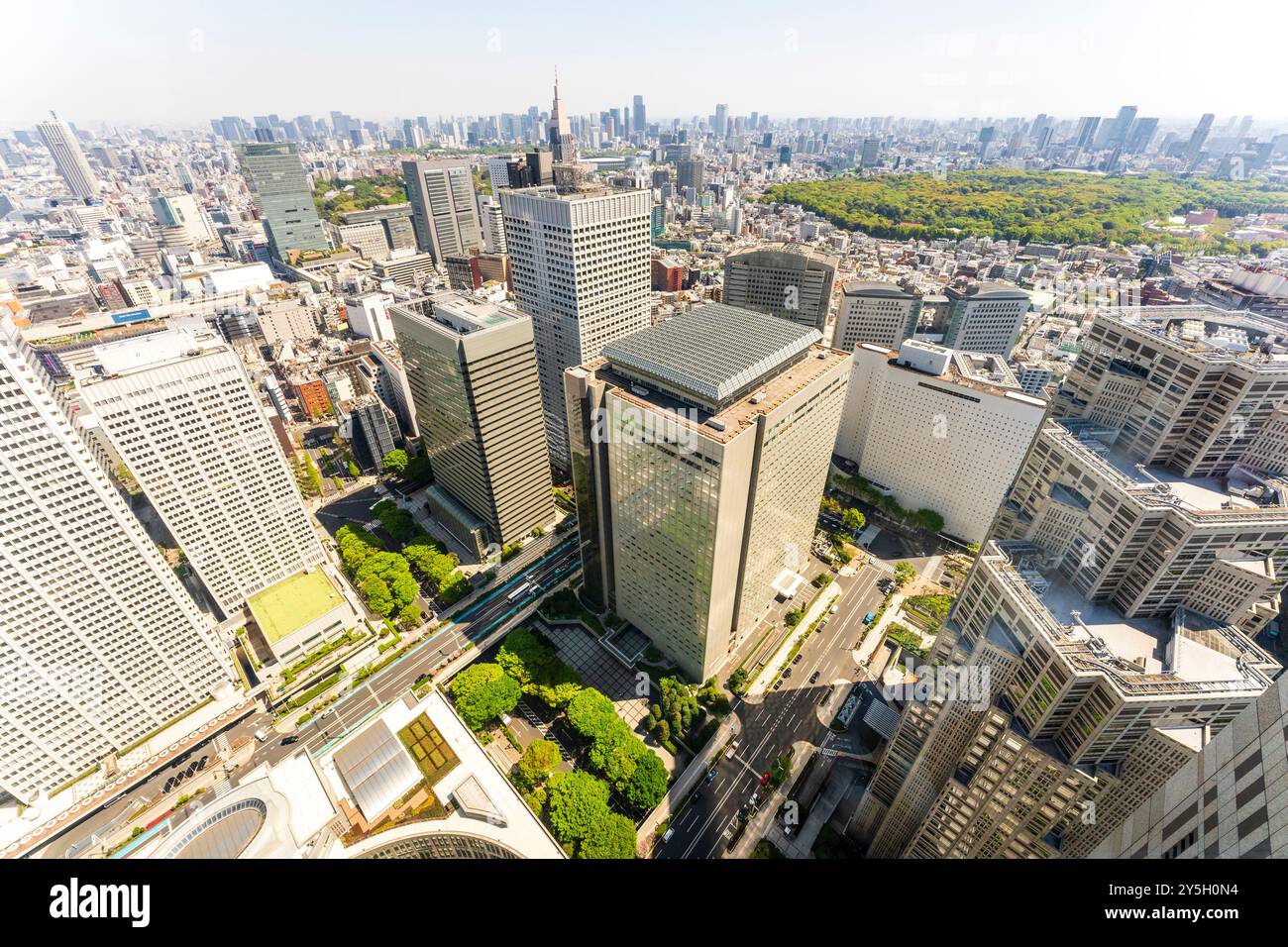 Hohe Bürogebäude und die Skyline von Tokio von der Aussichtsebene des Metropolitan Building aus gesehen. Shinjuku NS-Gebäude und Gyoen National Garden Stockfoto