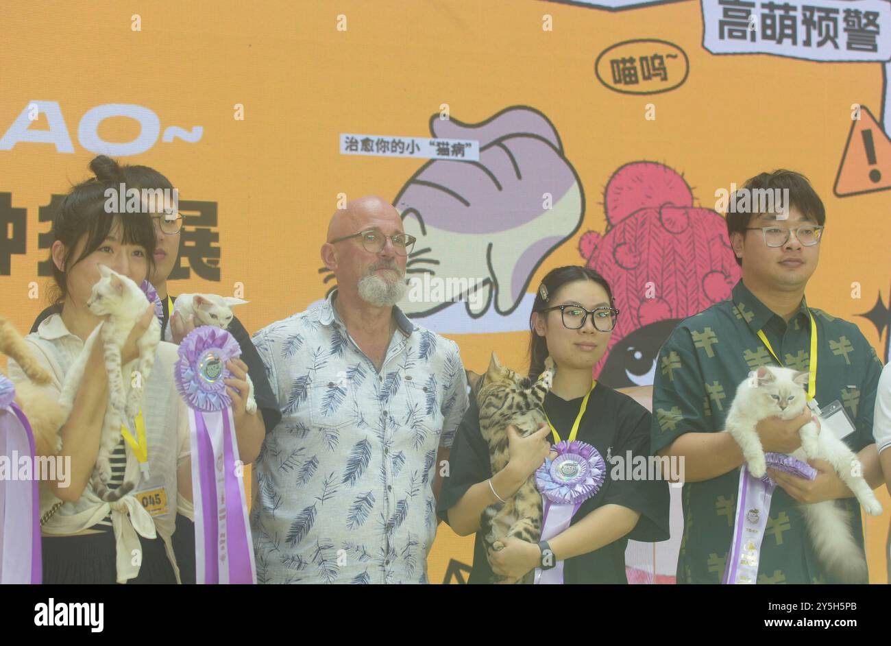 HANGZHOU, CHINA – 22. SEPTEMBER 2024 – Reinrassige Katzen treten 2024 beim Hangzhou International Reinrassiger Cat Tasting Competition in Hangzhou (Ost-Chi) an Stockfoto