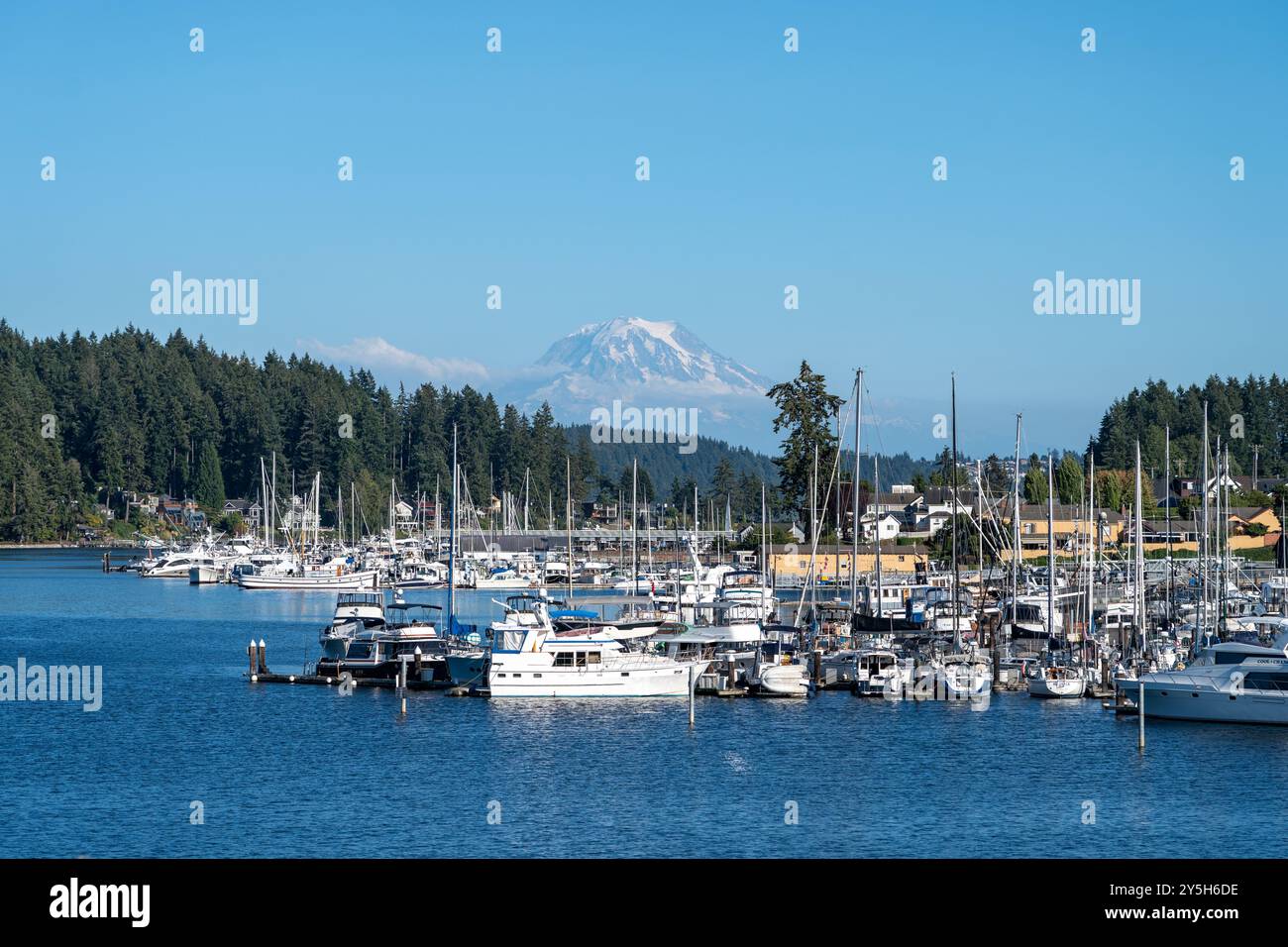 Boote im Gig Hafen Yachthafen mit Mount rainier und blauem Himmel in der Ferne Stockfoto