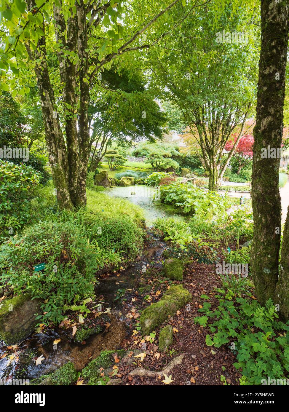 Blick auf den von Masao Fukuhara entworfenen japanischen Garten im National Botanic Garden of Wales Stockfoto