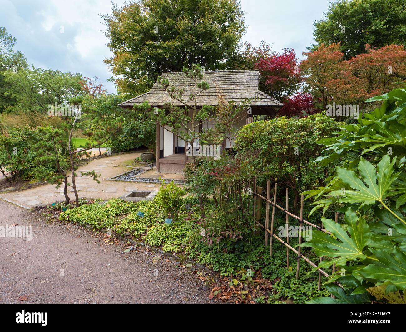 Blick auf den von Masao Fukuhara entworfenen japanischen Garten im National Botanic Garden of Wales Stockfoto