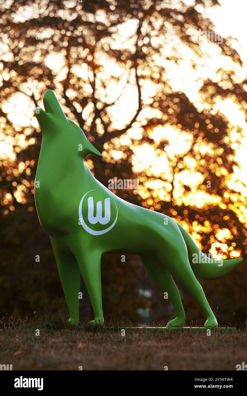 Grüne Wolfsskulptur mit VfL Wolfsburg Logo bei Sonnenuntergang, Wolfsburg, Niedersachsen, Deutschland, Europa Stockfoto