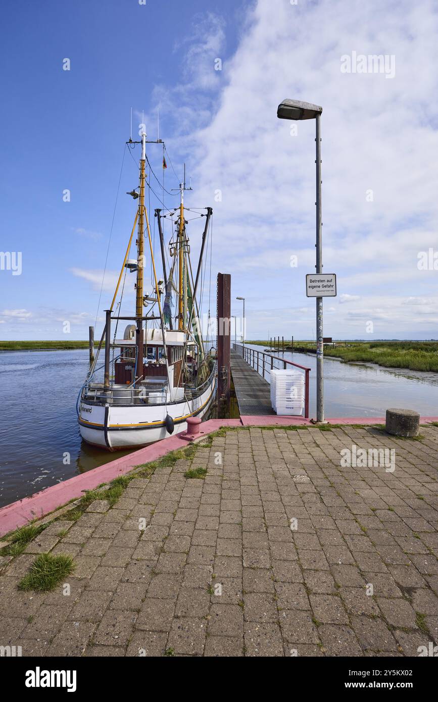 Fischschneider Hein Godenwind an der Schleuse Varel in Varel, Landkreis Friesland, Niedersachsen, Deutschland, Europa Stockfoto