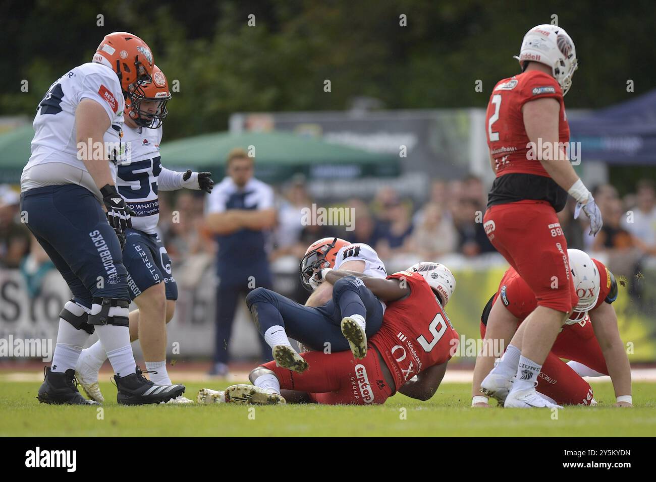 ABl. Thompson (9, DE, New Yorker Lions Braunschweig) stoppt Michael Mayer (3, WR, ifm Razorbacks Ravensburg) GER, ifm Ravensburg Razorbacks vs New Yorker Lions Braunschweig, American Football, GFL, Saison 2024, Playoffs, Viertelfinale, 22.09.2024, Eibner-Pressefoto/Florian Wolf Stockfoto