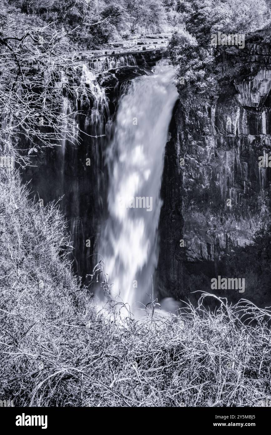 Ein fesselndes Schwarz-weiß-Foto, das einen mächtigen Wasserfall zeigt, der in eine steile und felsige Schlucht hinabsteigt, umgeben von natürlichen Elementen und Hi Stockfoto