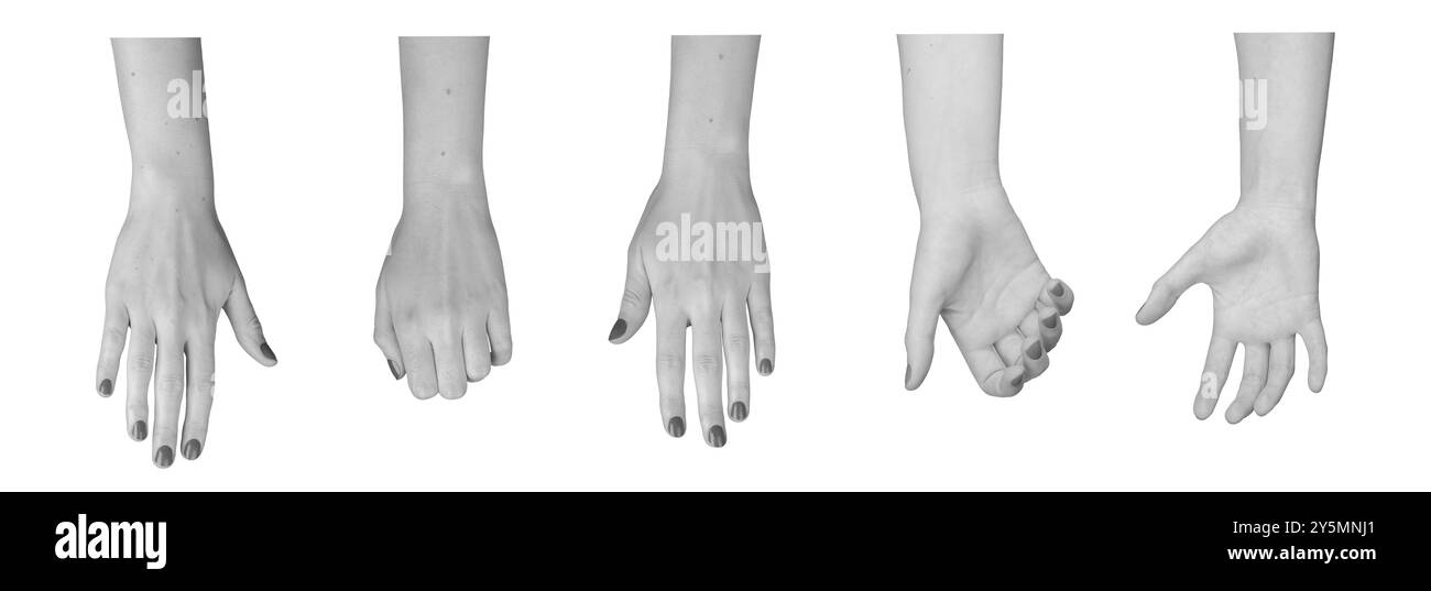 Nehmen, Halten, Greifen der Hände Gesten isoliert auf weißem Hintergrund. Stockfoto