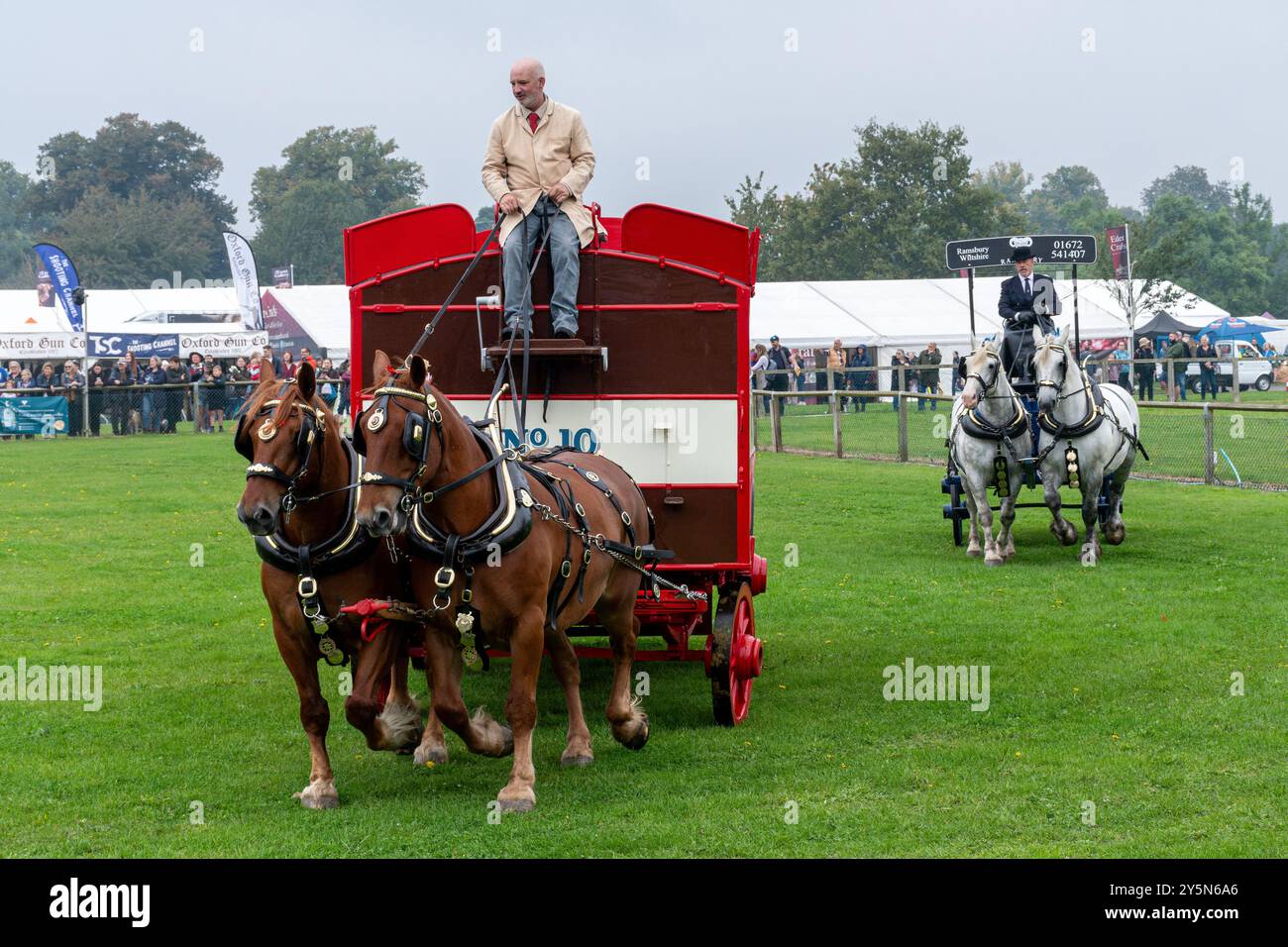 Newbury Show, 21. September 2024. Die beliebte jährliche Veranstaltung fand am Wochenende auf dem Newbury Showground in Berkshire, England, Großbritannien, statt. Die Show umfasst eine Vielzahl von landwirtschaftlichen, kulinarischen und ländlichen Ausstellungen und zieht Tausende von Besuchern an. Im Bild: Schwere Pferde in der Hauptarena. Stockfoto