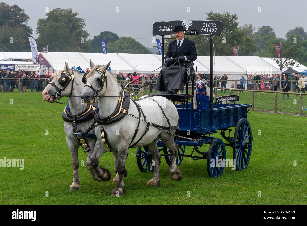 Newbury Show, 21. September 2024. Die beliebte jährliche Veranstaltung fand am Wochenende auf dem Newbury Showground in Berkshire, England, Großbritannien, statt. Die Show umfasst eine Vielzahl von landwirtschaftlichen, kulinarischen und ländlichen Ausstellungen und zieht Tausende von Besuchern an. Im Bild: Schwere Pferde in der Hauptarena. Stockfoto