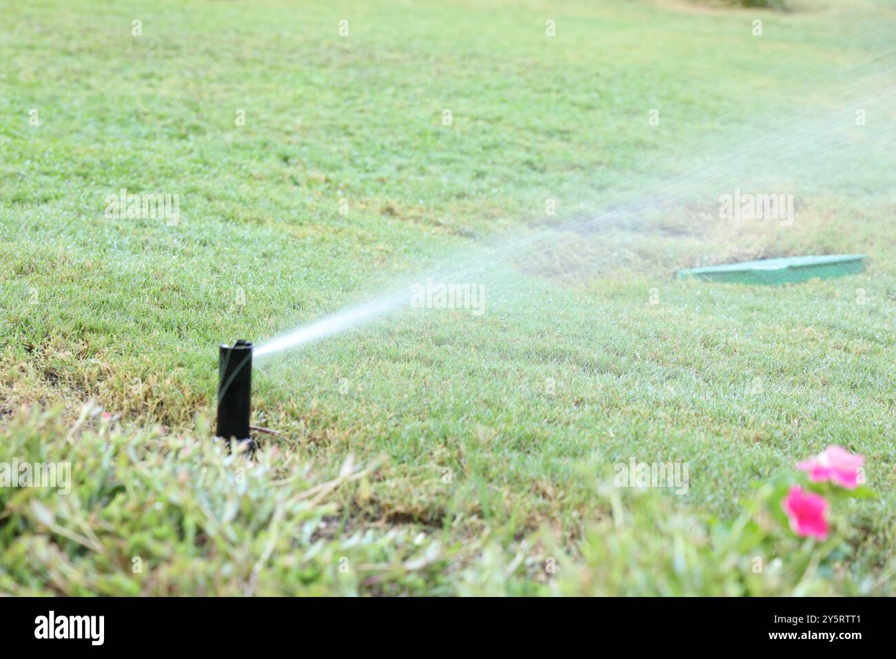 Automatischer Sprinkler zur Bewässerung von grünem Gras im Garten Stockfoto