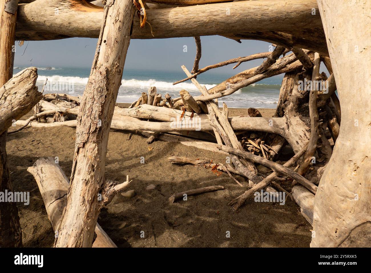 Driftwood Beach Shack am Moonstone Beach in Cambria, Kalifornien. Stockfoto