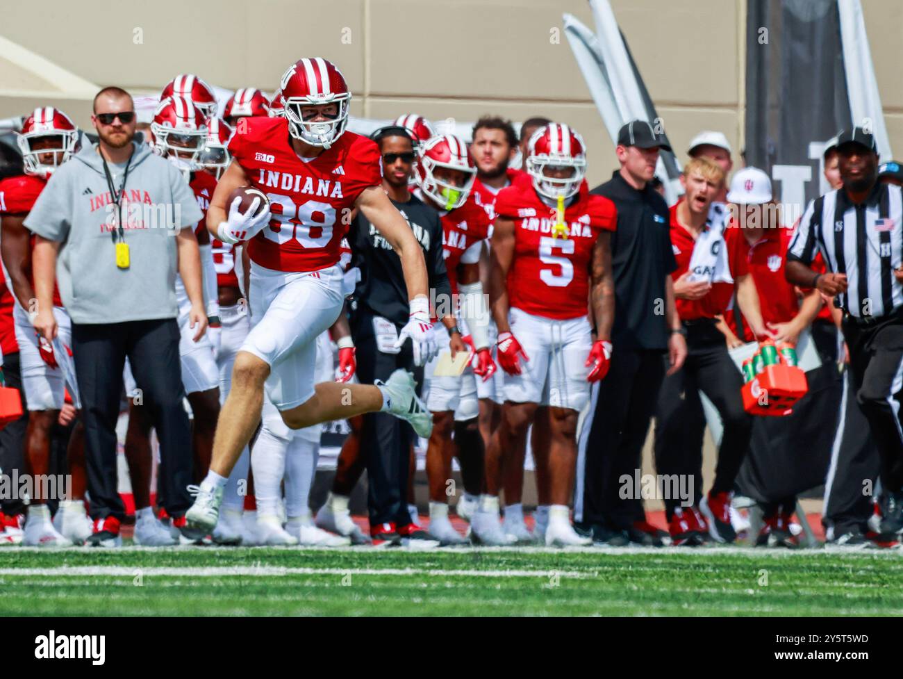 Bloomington, Usa. September 2024. Indiana Hoosiers Tight End Sam West (88) trägt den Ball gegen Charlotte während eines NCAA-Fußballspiels im Memorial Stadium in Bloomington. Das Finale war Indiana 52 und Charlotte 14. Quelle: SOPA Images Limited/Alamy Live News Stockfoto