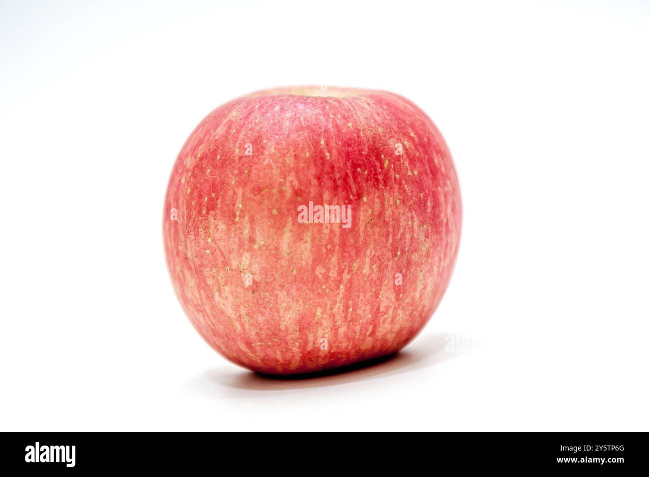 Ein roter Apfel isoliert auf weißem Hintergrund Stockfoto