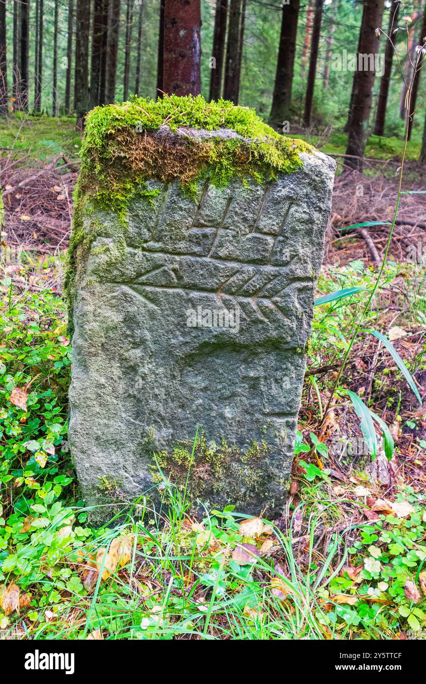Nahaufnahme an einem Meilenstein am Straßenrand in einem Wald Stockfoto