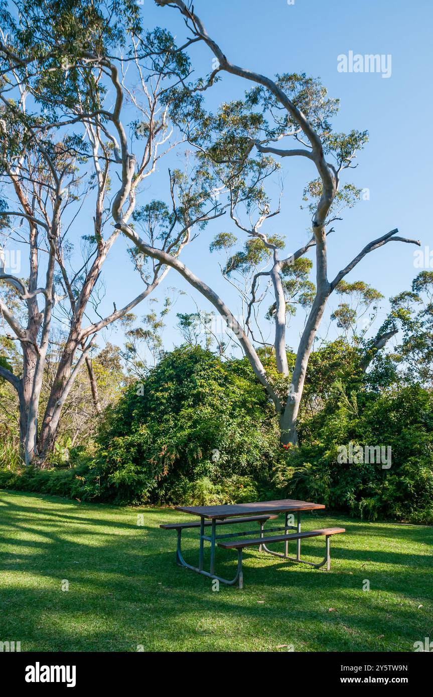 Picknickbereich, Booderee Botanic Gardens, NSW, Australien Stockfoto