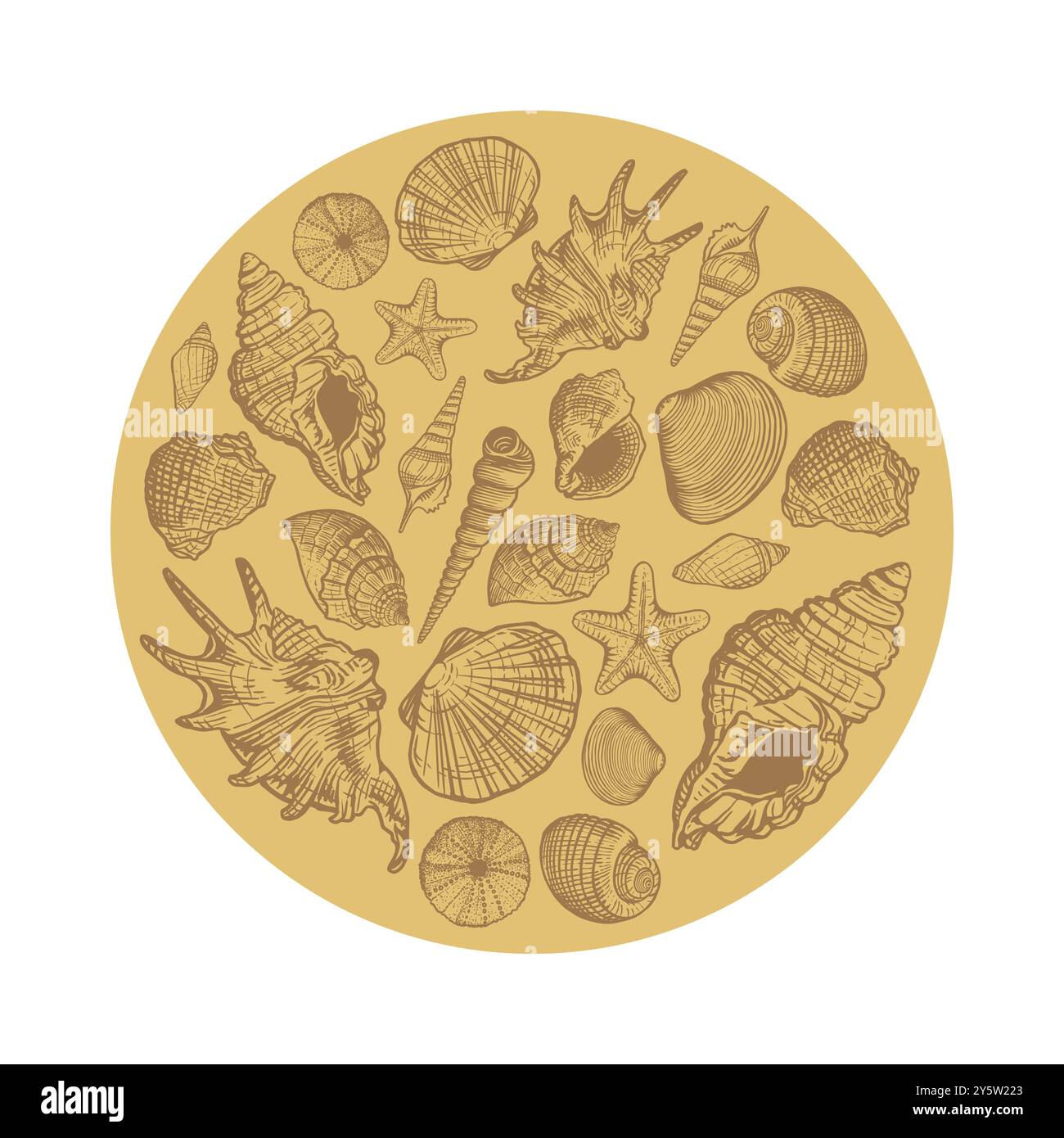 Rundmuster mit Muschelmuster. Stock Vektor
