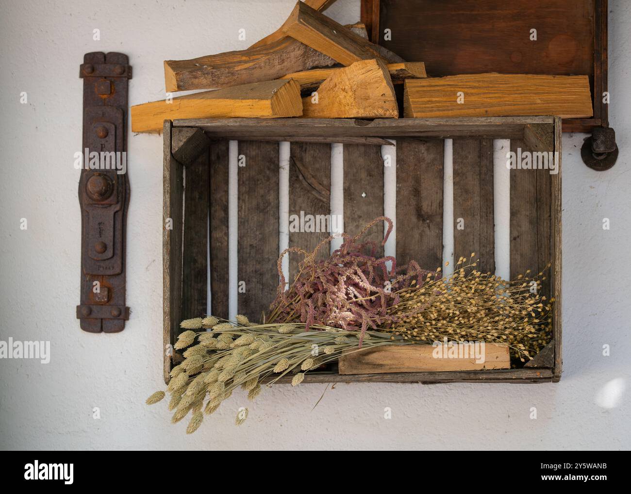 Einrichtung mit getrockneter Flachspflanze in Holzkiste. Herbstdekoration im Freien mit getrockneten Pflanzen und Brennholz. Stockfoto