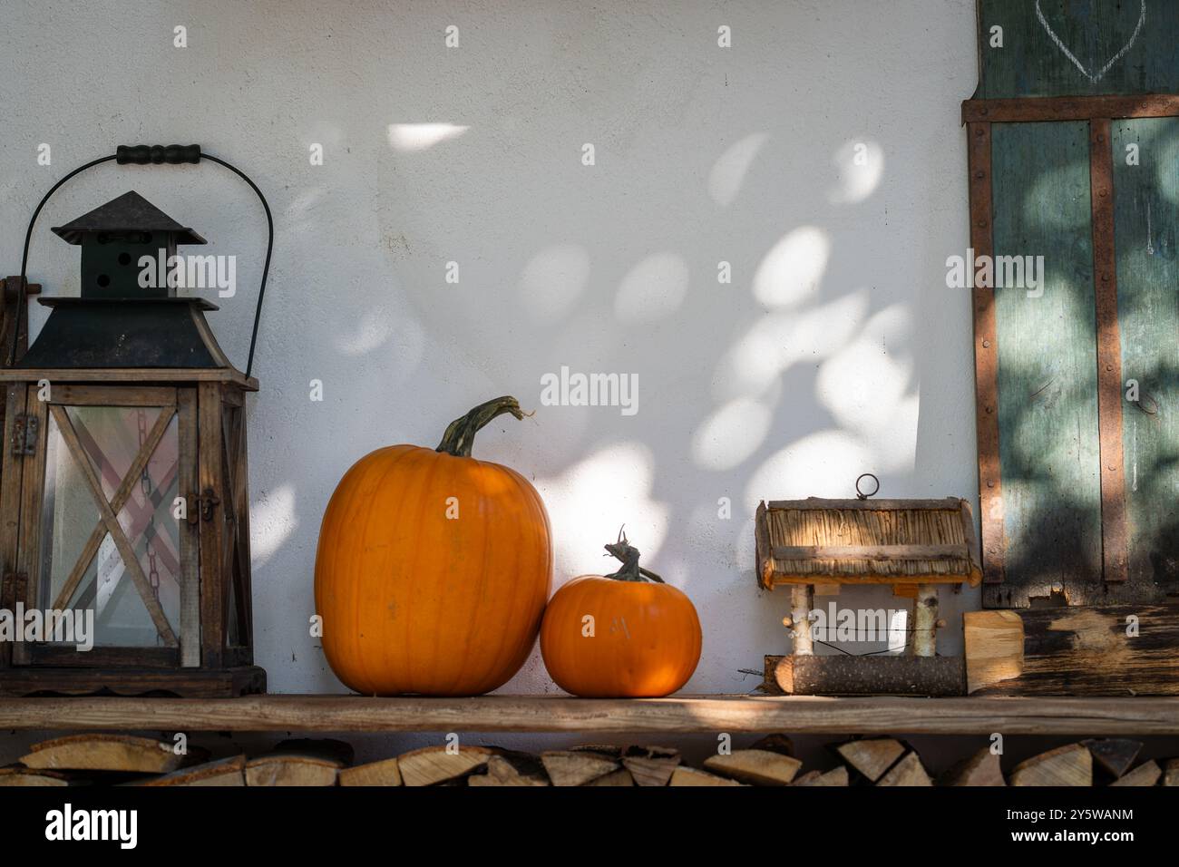 Herbstdekoration mit Kürbis und Vintage-Laterne. Kürbisdekoration im Herbst. Einrichtung mit Kürbis. Halloween Deko. Stockfoto