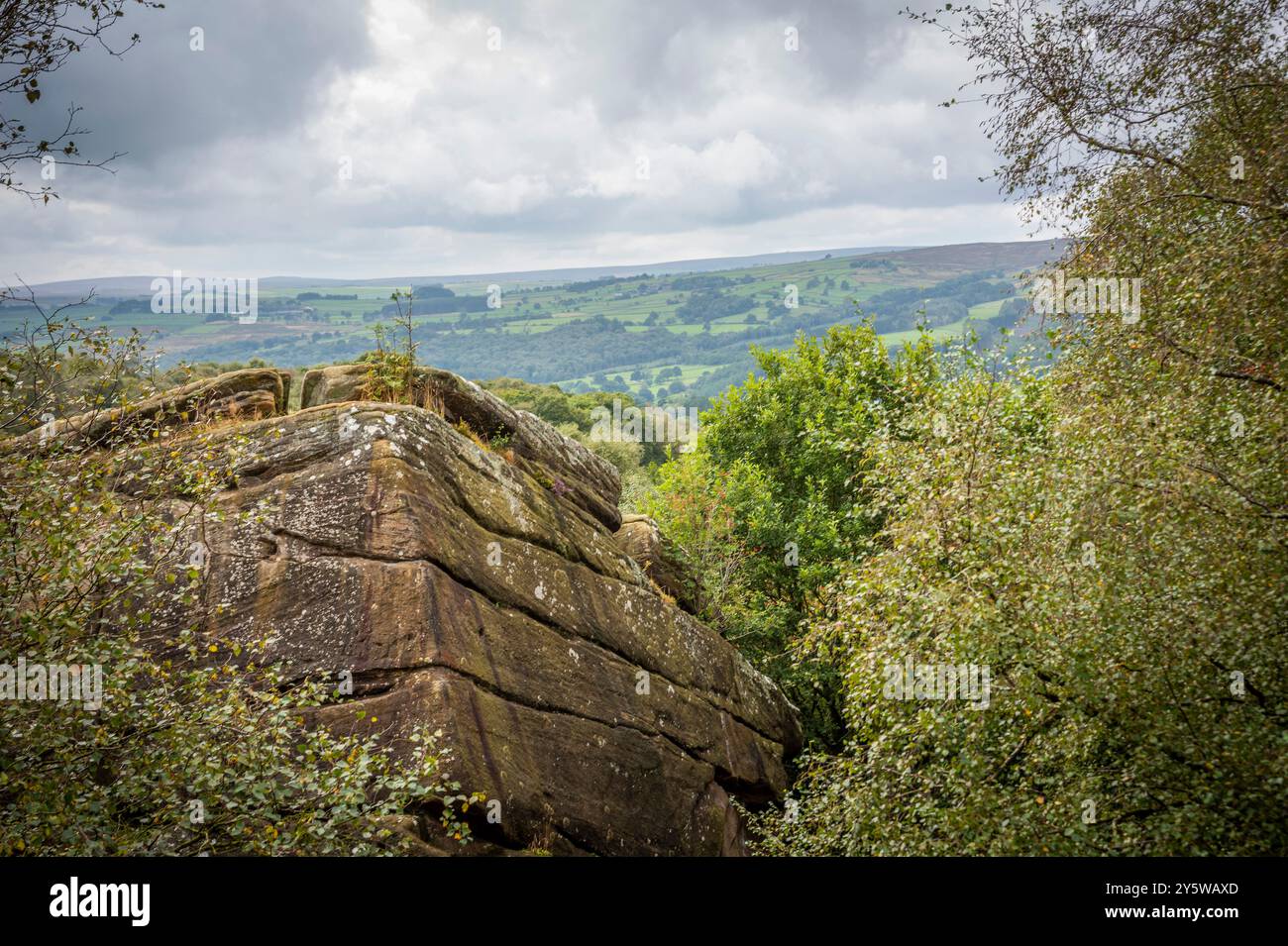 Brimham Rocks hat natürlich verwitterte Steine in der Nähe von Harrogate, North Yorkshire, Großbritannien Stockfoto