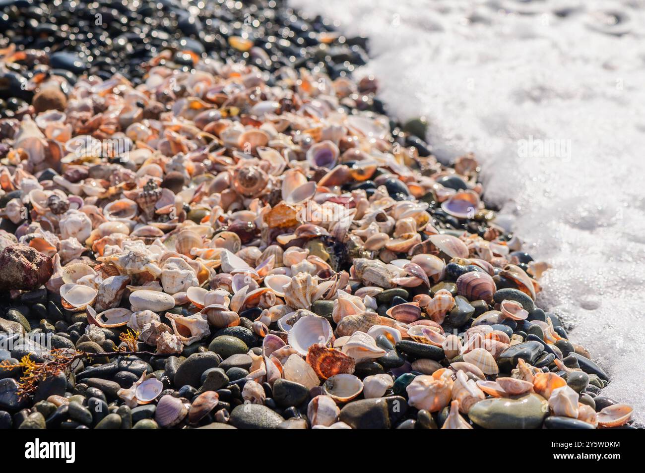 Ein sonnenverwöhnter Strand mit einer Kerze nach Kokosnuss-Limette. Stockfoto