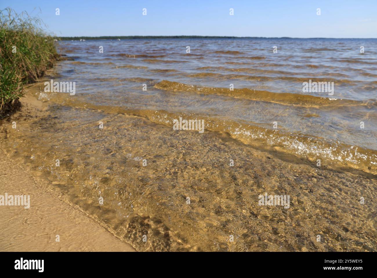 Am Ufer des Lacanau-Sees in Gironde im Südwesten Frankreichs. Ruhe, Natur, Landschaft, Umgebung. Lacanau, Médoc, Gironde, Nouvelle Aquitai Stockfoto