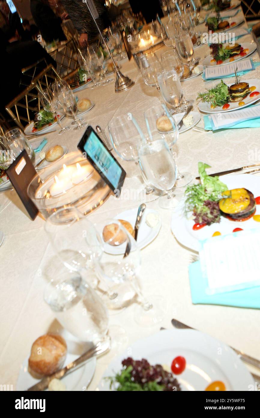 New York, NY, USA. November 2014. Atmosphäre bei der National Tourette Syndrome Gala 2014 im Grand Ballroom des Pierre Hotels. Quelle: Steve Mack/Alamy Stockfoto