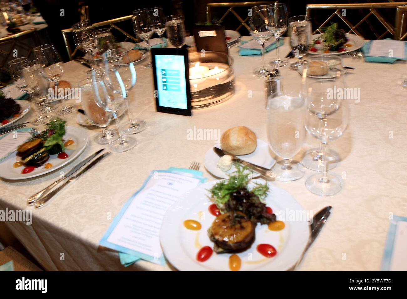 New York, NY, USA. November 2014. Atmosphäre bei der National Tourette Syndrome Gala 2014 im Grand Ballroom des Pierre Hotels. Quelle: Steve Mack/Alamy Stockfoto