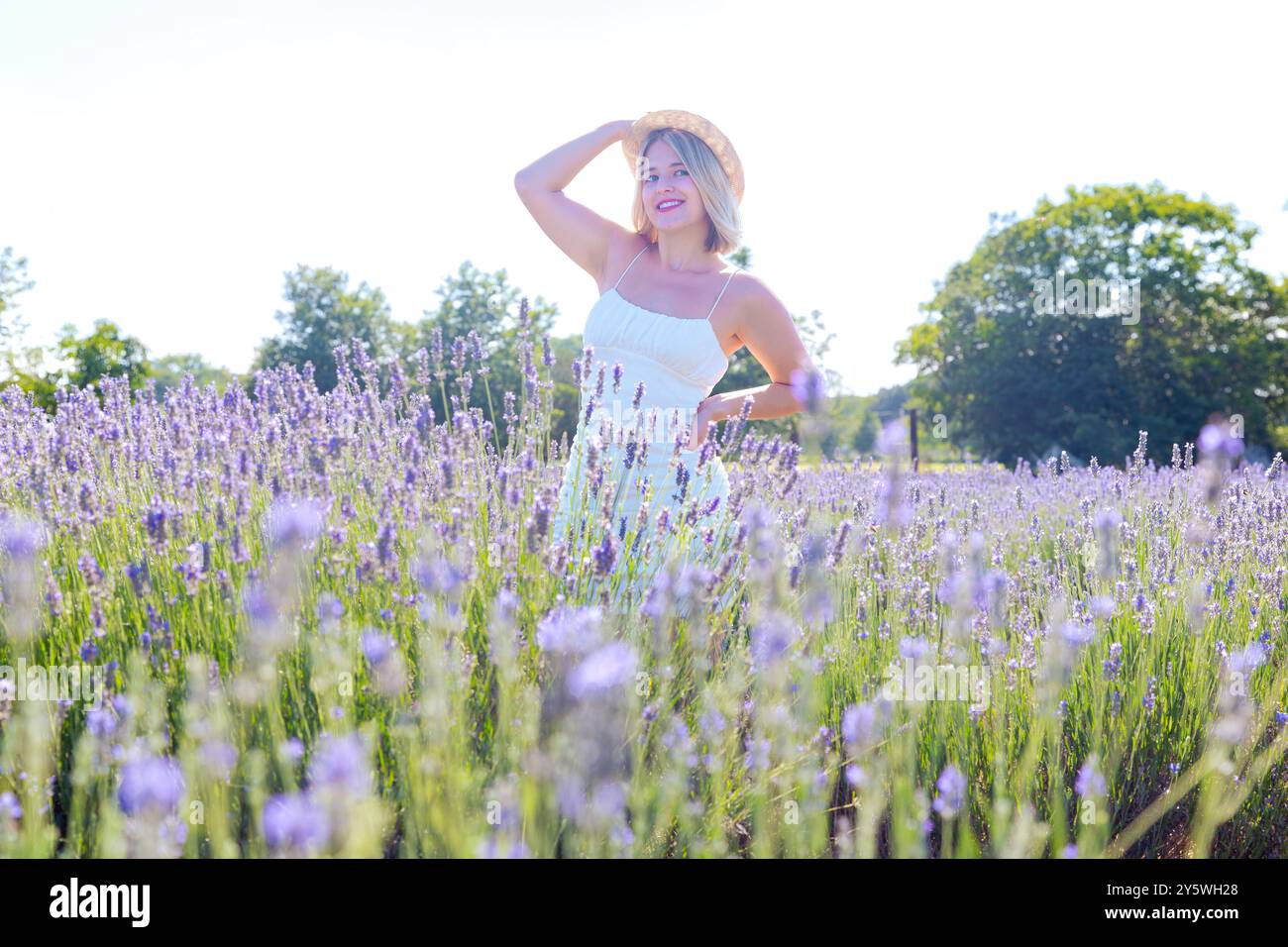 Portrait individuelle glückliche junge kaukasische Frau im Lavendelfeld. Stockfoto
