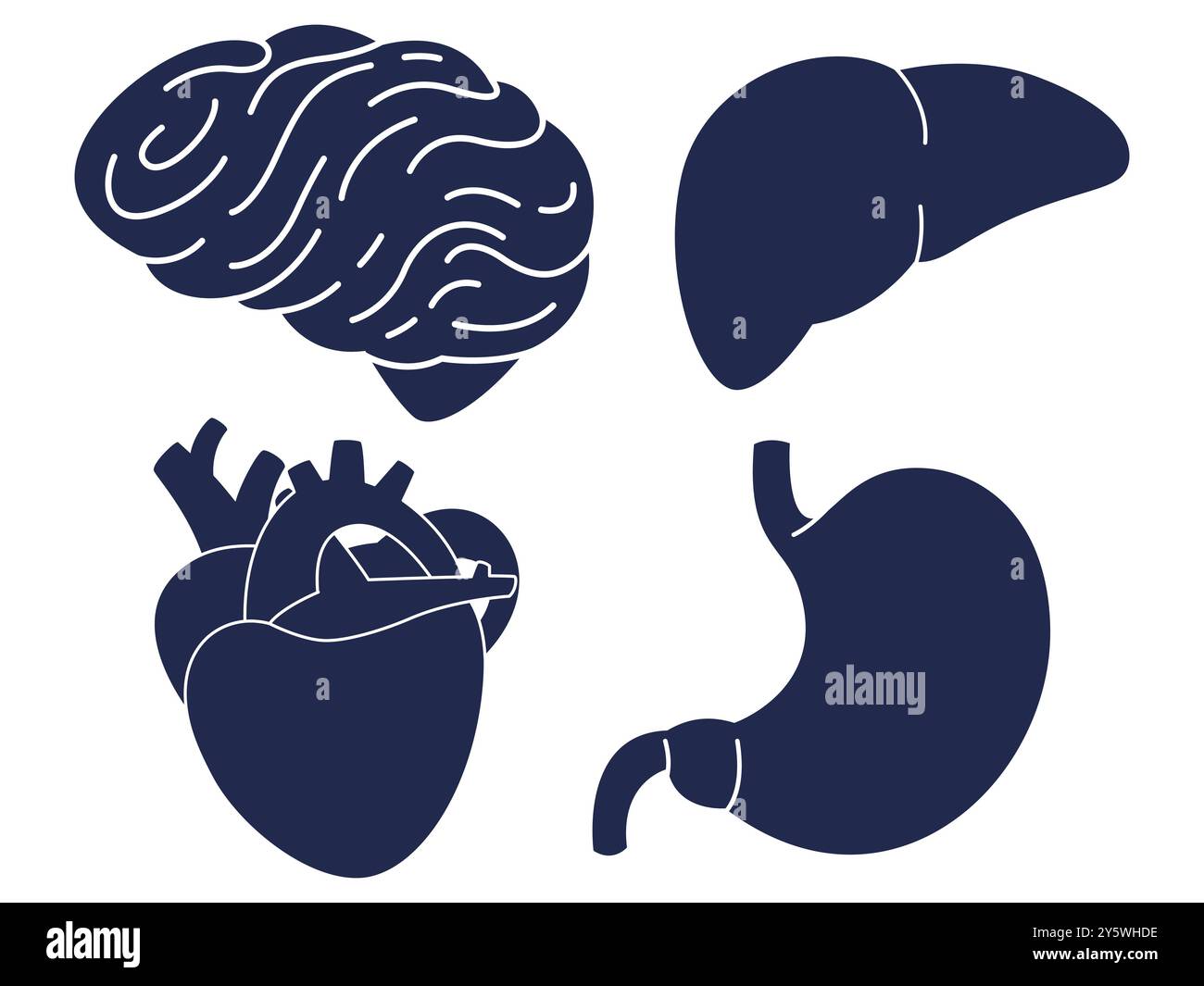 Menschliche Organe Teil innerhalb des Körpers anatomische Struktur Anatomie Gehirn Leber Herz Magen Design Set Sammlung Illustration Stock Vektor