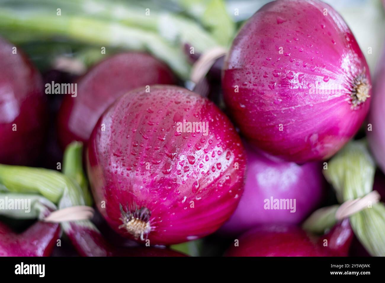 Nahaufnahme von roten Zwiebeln mit Wassertröpfchen auf einem Bauernmarkt Stockfoto