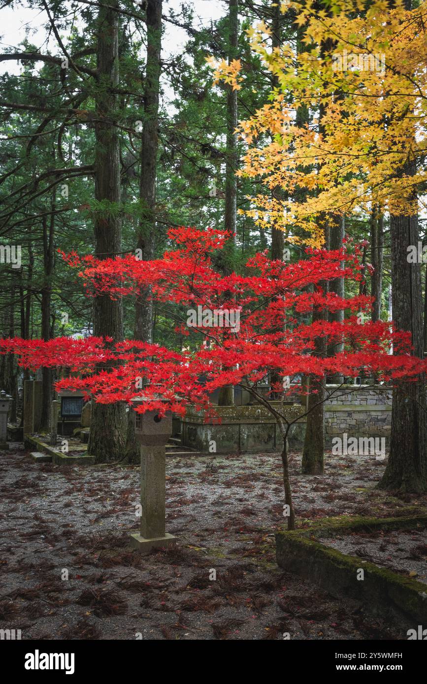 Okuno-in u Okunoin Friedhof Details im Herbst Stockfoto